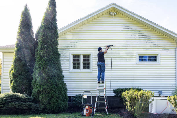 Best Sidewalk and Walkway Cleaning  in Alva, FL